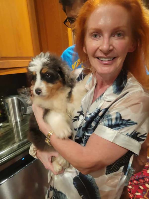 Customer photo of Bernedoodle puppy from Shirley M.