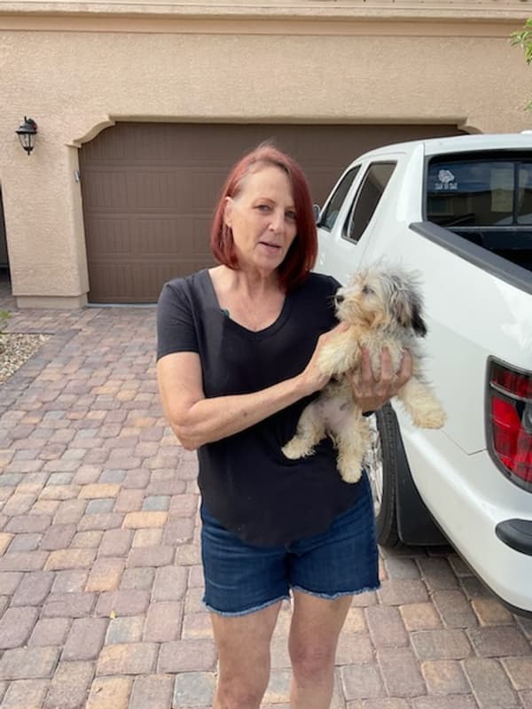 Customer photo of Aussiedoodle puppy from Cher N.