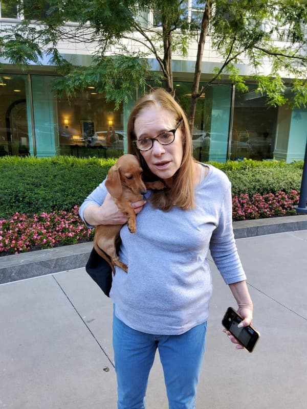 Customer photo of Dachshund, Mini puppy from Joan J.