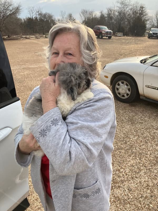 Customer photo of Poodle, Miniature puppy from Cindi T.