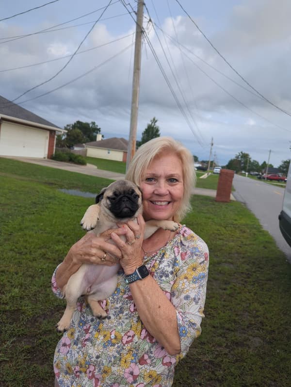 Customer photo of Pug puppy from Patty D.