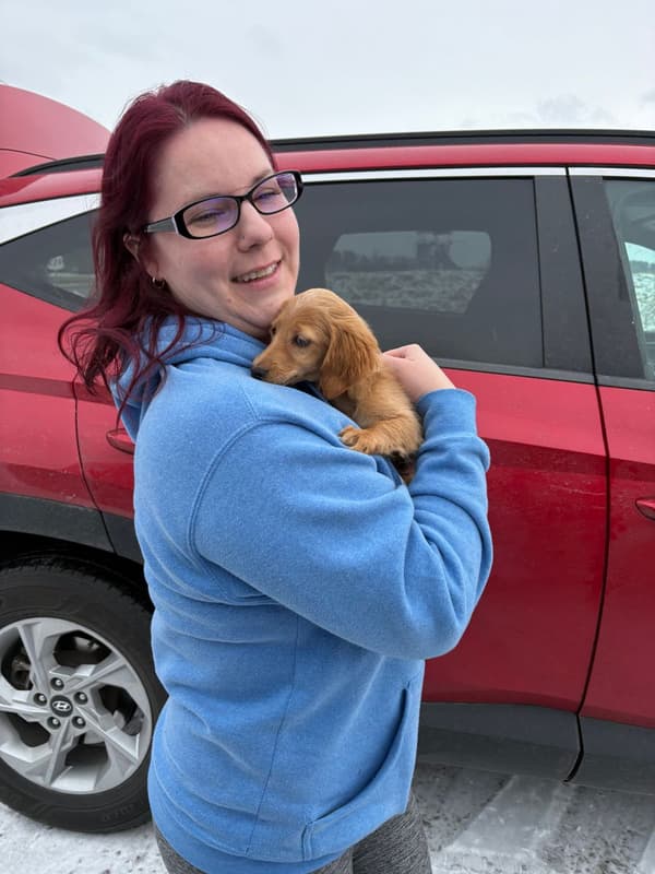 Customer photo of Dachshund, Mini puppy from Jackii M.