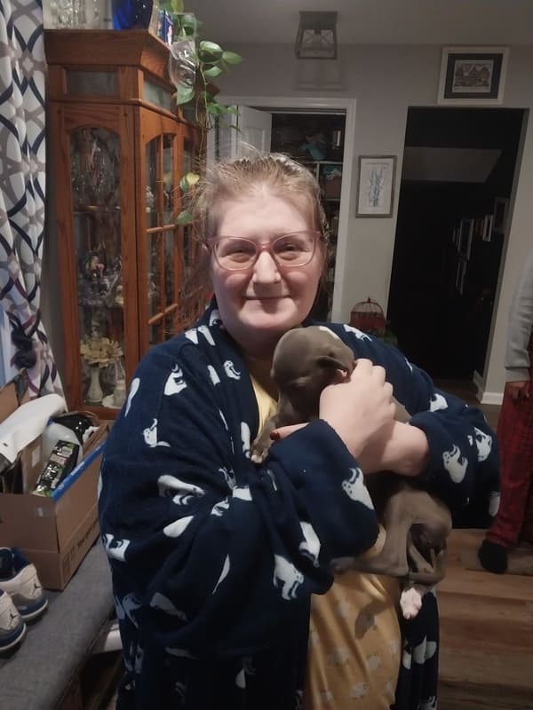 Customer photo of Italian Greyhound puppy from Marlie P.