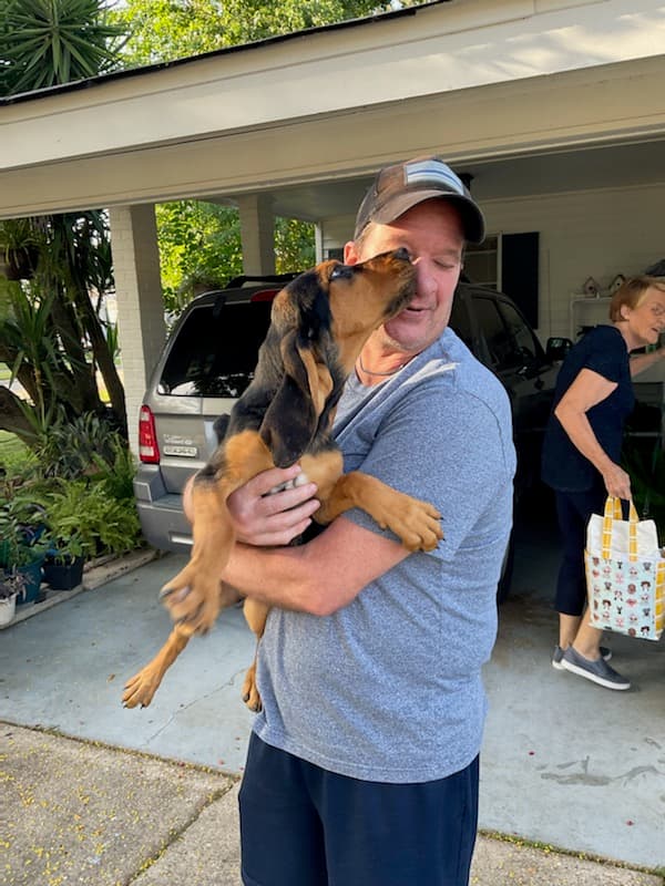 Customer photo of Bloodhound puppy from Tim R.