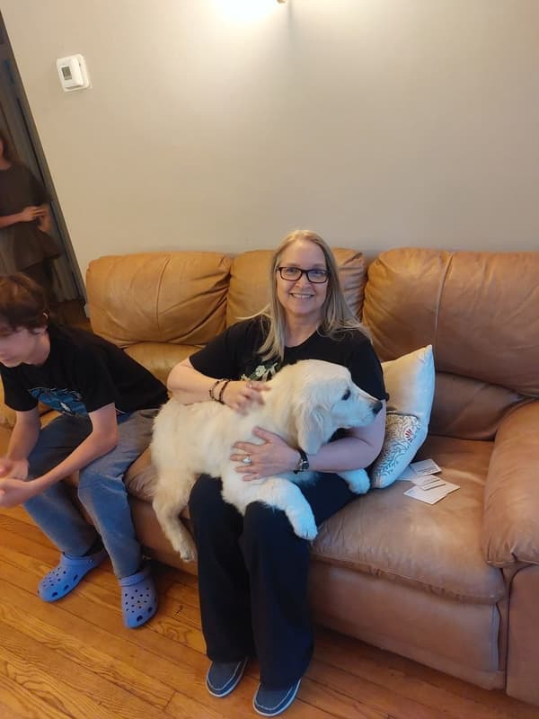 Customer photo of English Golden Retriever puppy from Julia S.