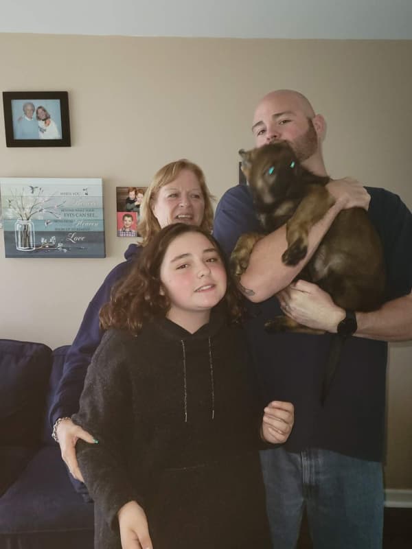 Customer photo of German Shepherd puppy from Mike T.