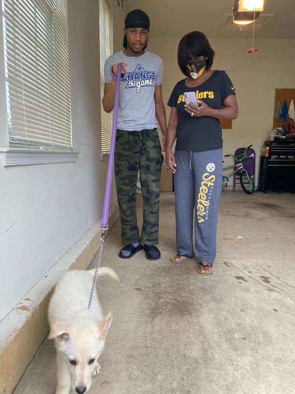 Customer photo of German Shepherd puppy from Bridget M.