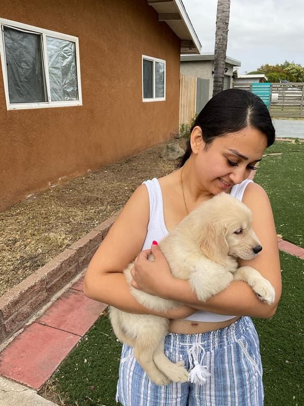 Customer photo of Golden Retriever puppy from Hadel B.