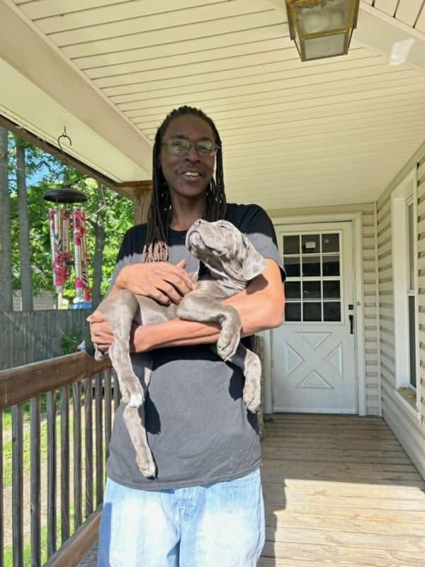 Customer photo of Cane Corso Mastiff puppy from Toshia C.