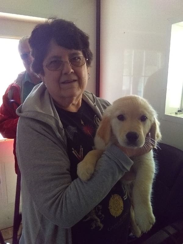 Customer photo of Golden Retriever puppy from Dottye F.