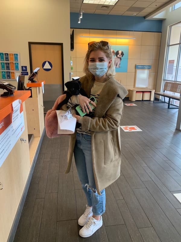 Customer photo of Pug puppy from Rebecca T.