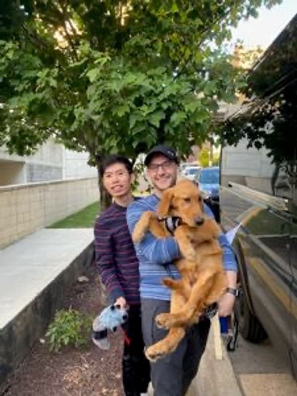 Customer photo of Golden Retriever puppy from Narong J.