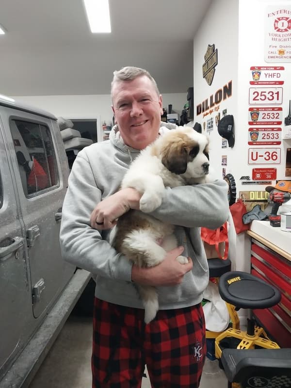 Customer photo of Saint Bernard - St. Bernard puppy from Paul D.