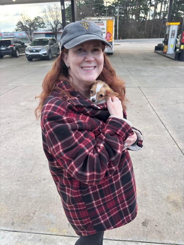 Customer photo of Chihuahua puppy from Toni M.