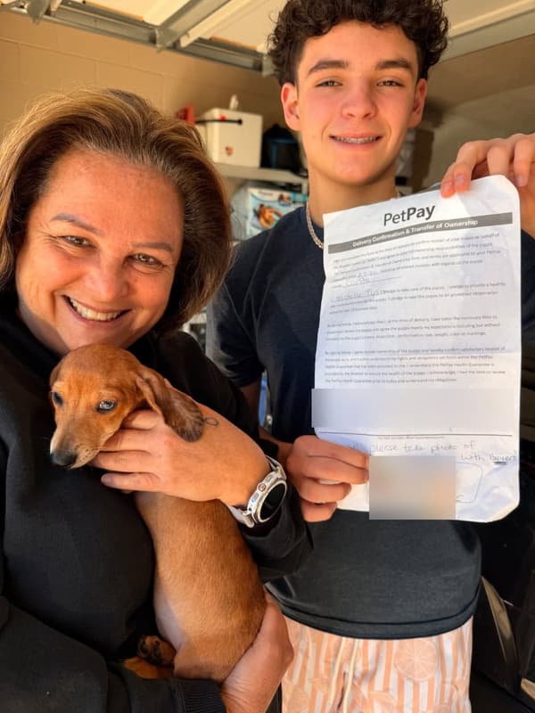 Customer photo of Dachshund, Mini puppy from Michelle T.