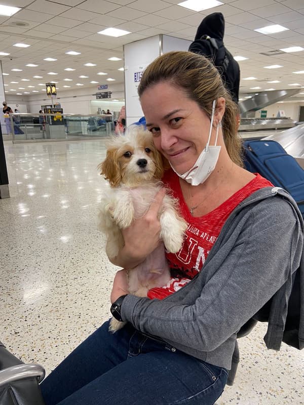 Customer photo of Cavachon puppy from Lucia L. 