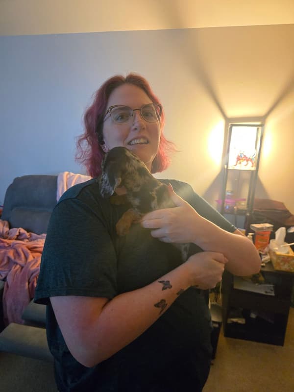 Customer photo of Dachshund, Mini puppy from Melissa L.