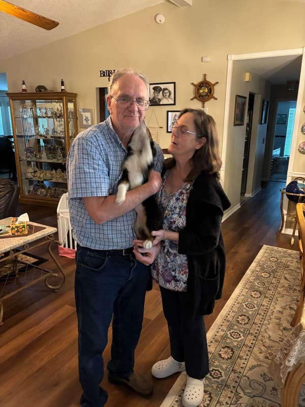 Customer photo of Miniature Australian Shepherd puppy from Linda W.