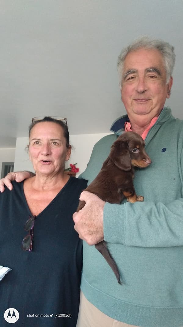 Customer photo of Dachshund, Mini puppy from Suzanne D.