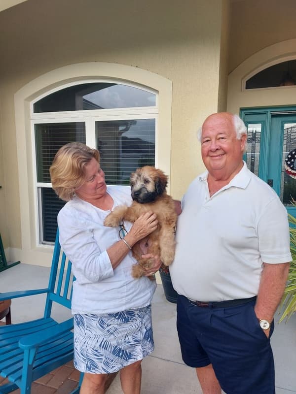 Customer photo of Soft Coated Wheaten Terrier puppy from Jocelyn D.