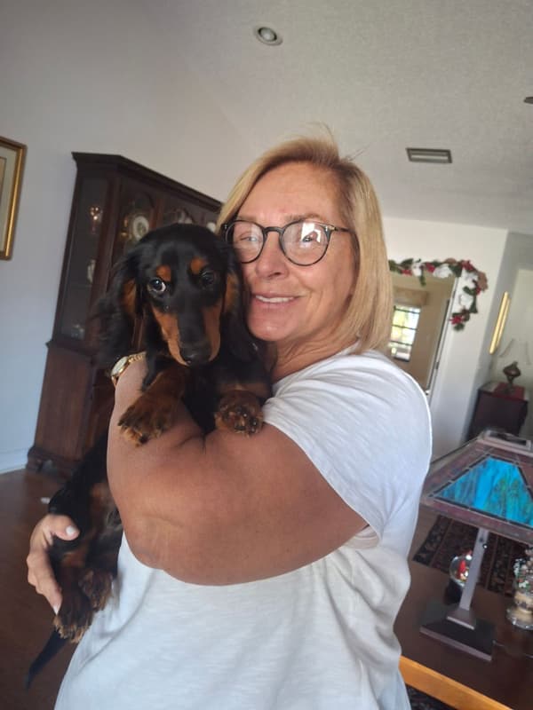 Customer photo of Dachshund, Mini puppy from Corrine D.
