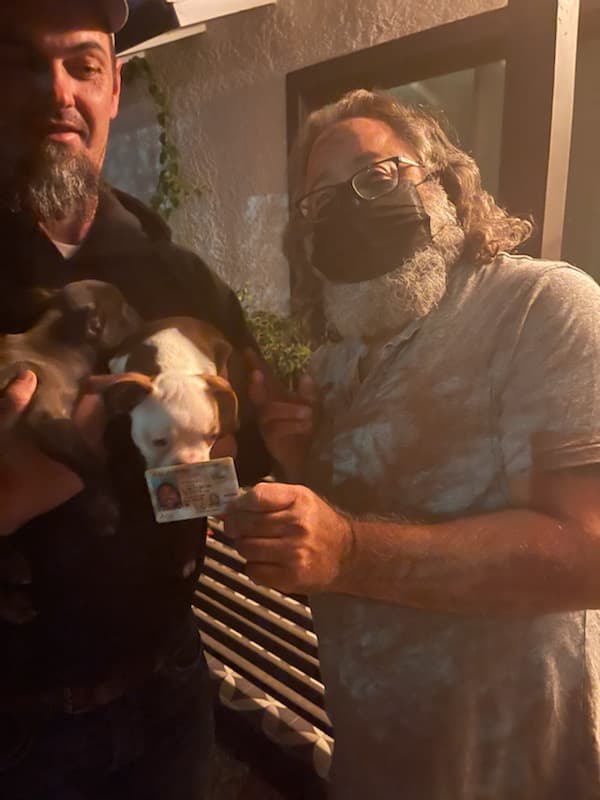 Customer photo of Boston Terrier puppy from Tim O.