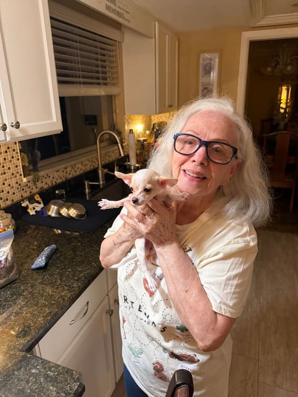 Customer photo of Chihuahua puppy from Olga M.