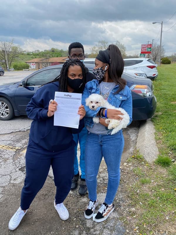 Customer photo of Bichon Frise puppy from Nicole G.