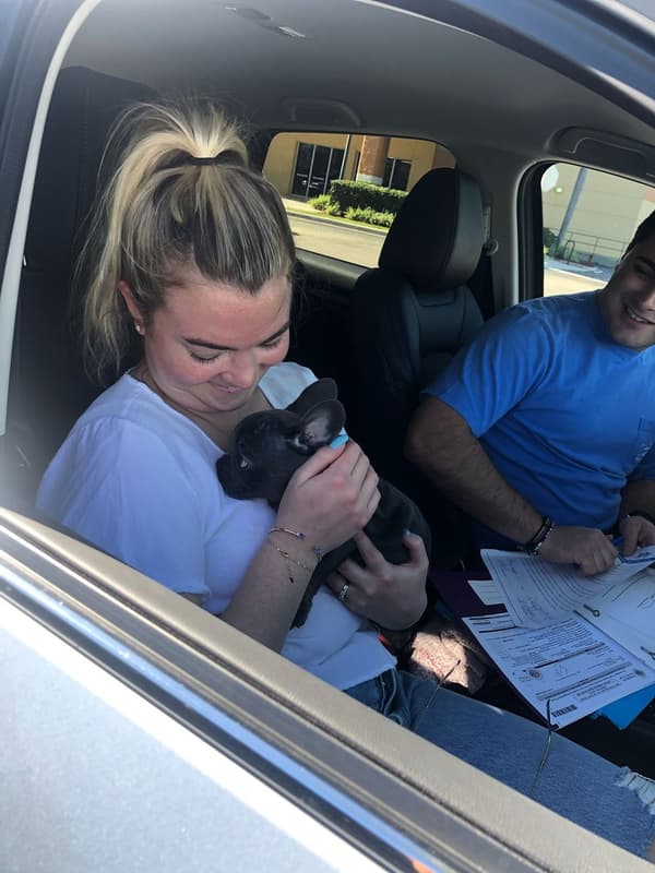 Customer photo of French Bulldog puppy from Mark L.