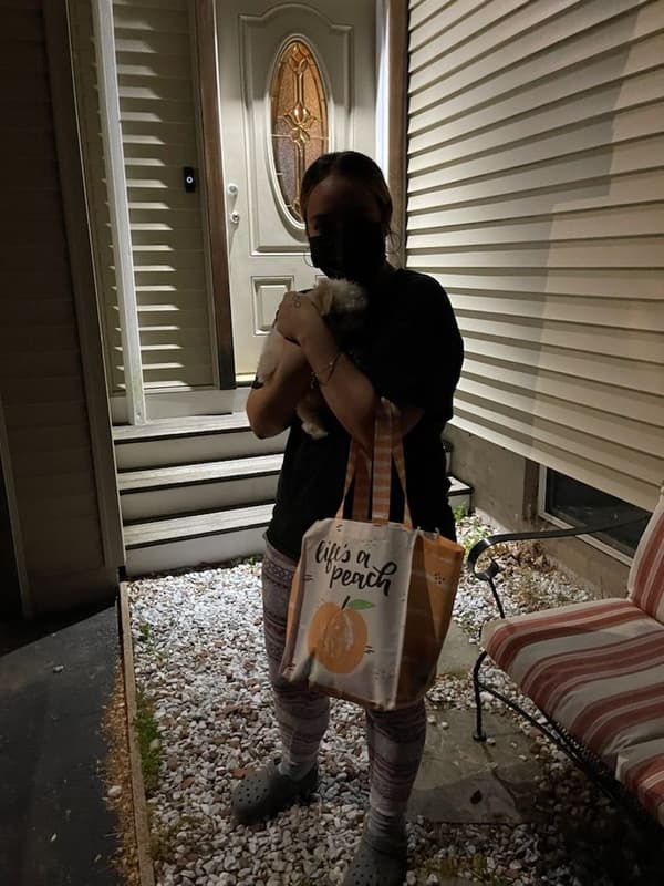 Customer photo of Havanese puppy from Myveliz G.