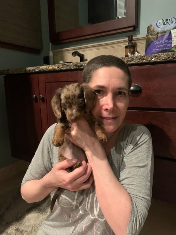 Customer photo of Dachshund puppy from Cara L.