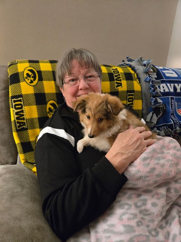 Customer photo of Shetland Sheepdog - Sheltie puppy from Sheri H.