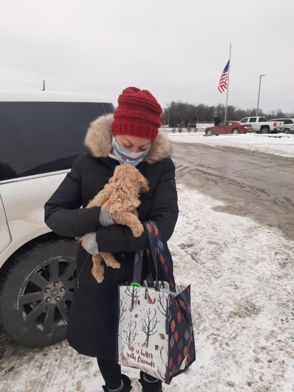 Customer photo of Cockapoo puppy from Michelle C.