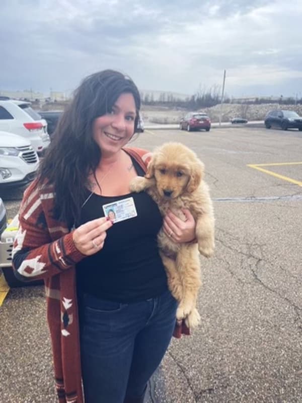 Customer photo of Golden Retriever puppy from Vance L.