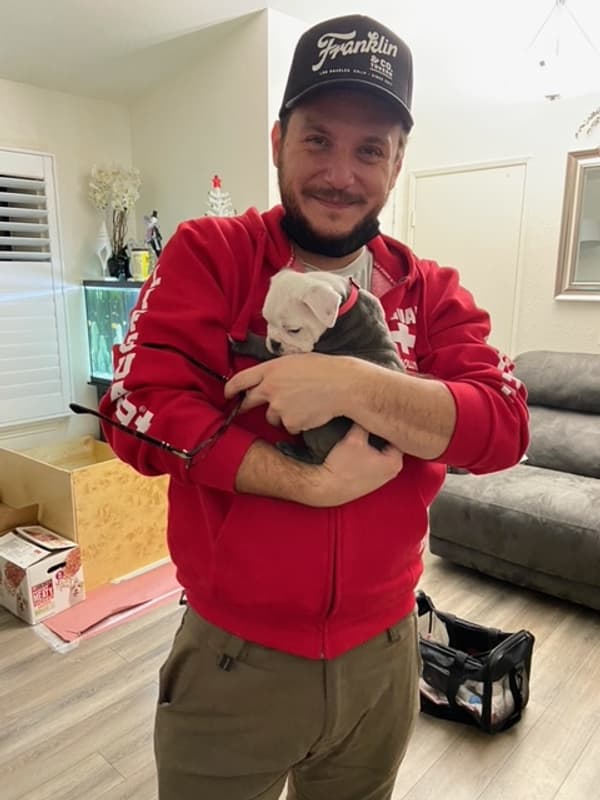 Customer photo of Bulldog puppy from Rachel M.