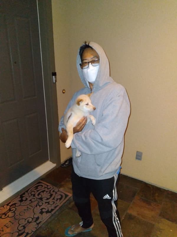 Customer photo of Shiba Inu puppy from Cesar N.