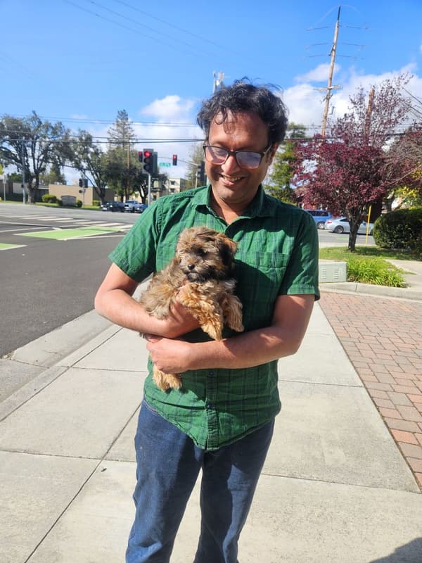Customer photo of Shorkie puppy from Priya S.