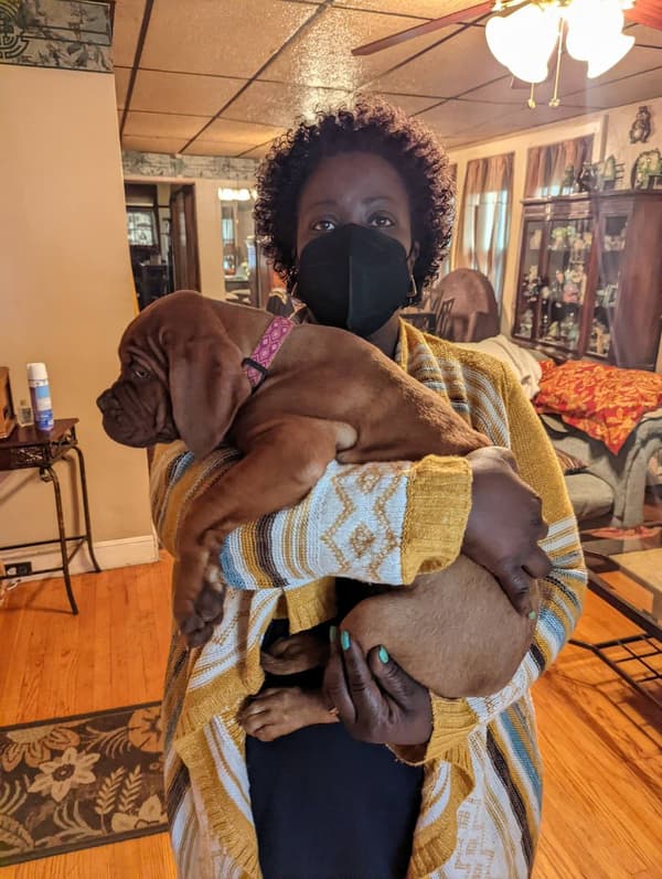 Customer photo of Dogue De Bordeaux puppy from Sharon M.