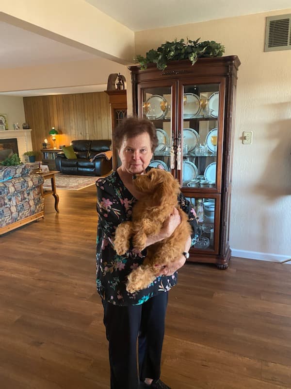 Customer photo of Goldendoodle puppy from Barbara H.