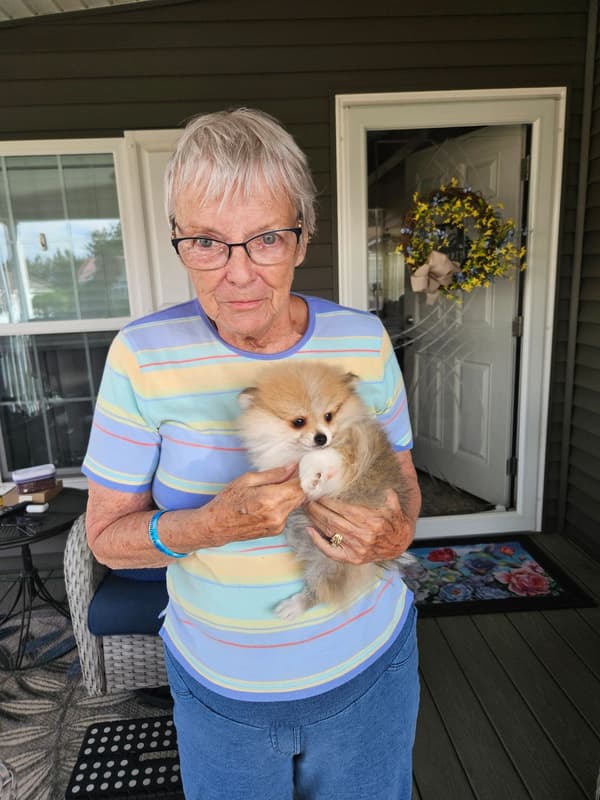 Customer photo of Pomeranian puppy from Sandra B.