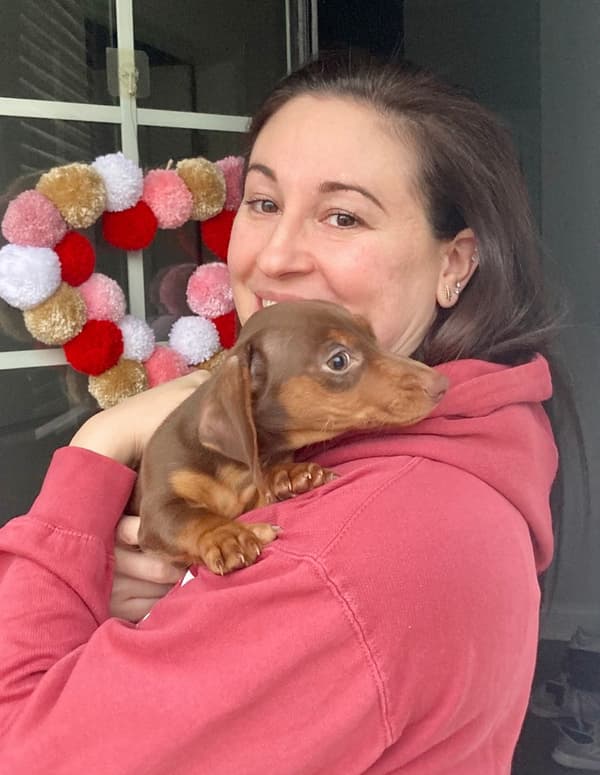 Customer photo of Dachshund, Mini puppy from Jeanette S.