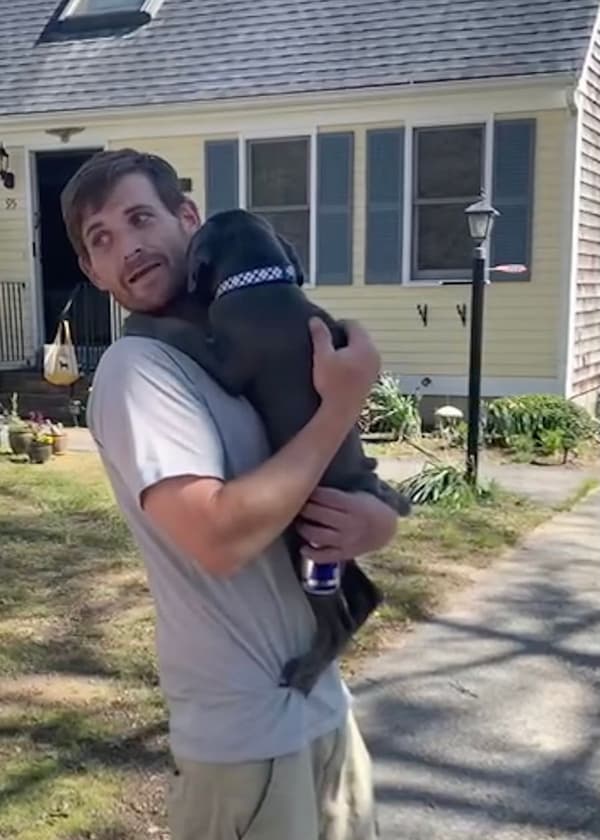 Customer photo of Cane Corso Mastiff puppy from Kevin K.