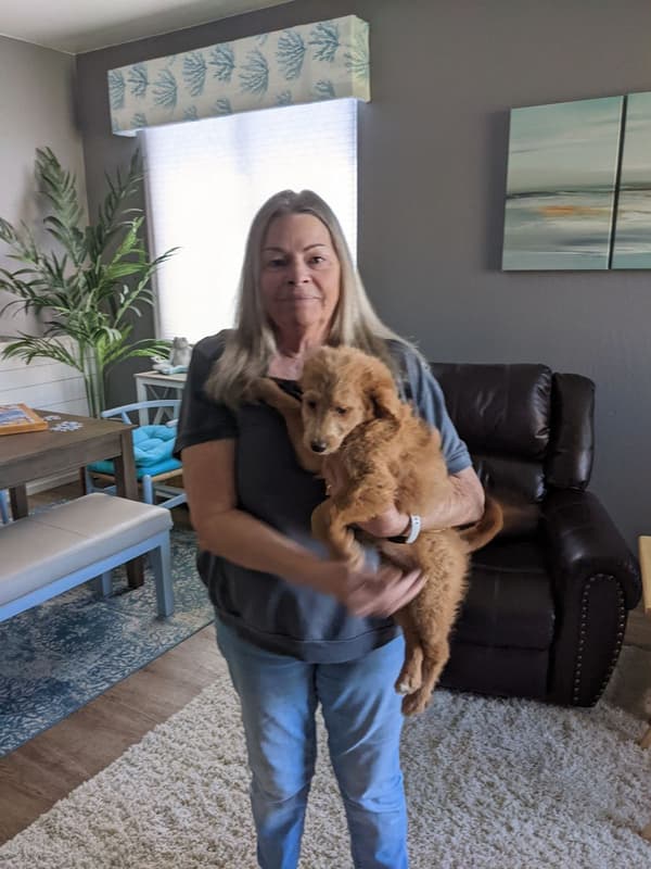 Customer photo of Goldendoodle, Mini puppy from Linda F.