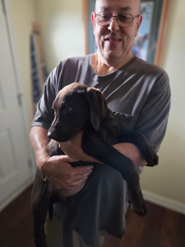 Customer photo of Labrador Retriever puppy from Martin S.
