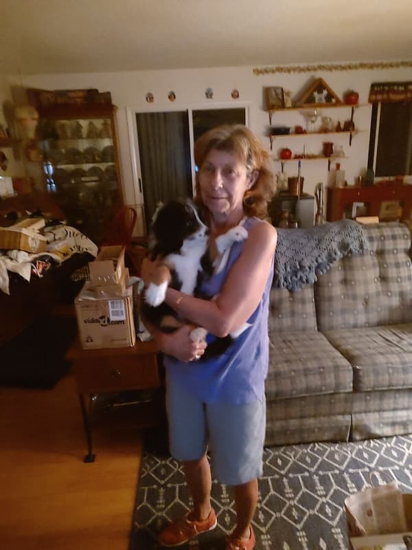 Customer photo of Bernedoodle, Mini puppy from Nancy N.