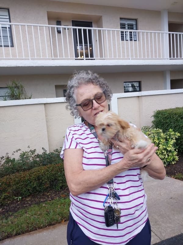 Customer photo of Shih Tzu puppy from Linda A.