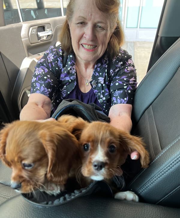 Customer photo of Cavalier King Charles Spaniel puppy from Kathy P.