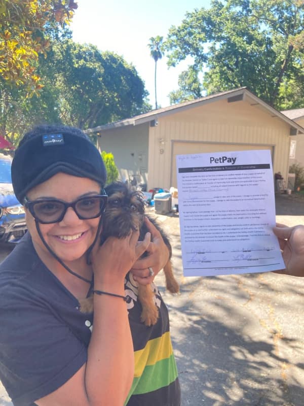 Customer photo of Brussels Griffon puppy from Lisa C.