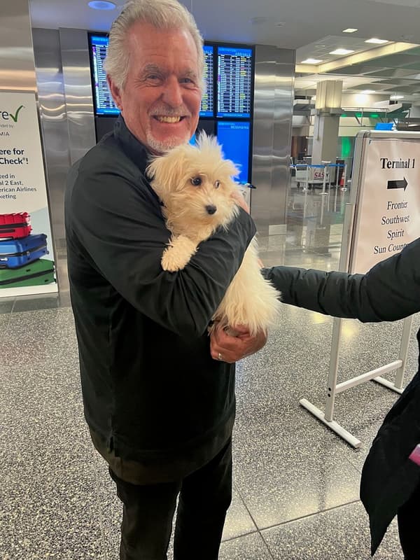 Customer photo of Havanese puppy from Terry N.