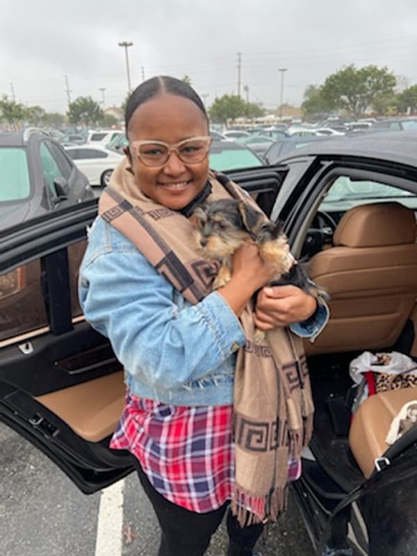 Customer photo of Yorkiepoo - Yorkie Poo puppy from Michaela Fontenot